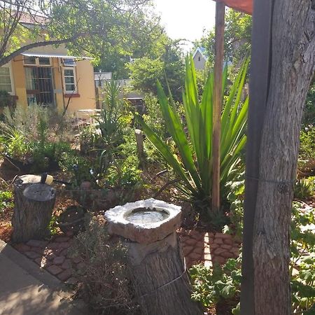 Apartamento Tranquility In Klein Karoo Oudtshoorn Exterior foto